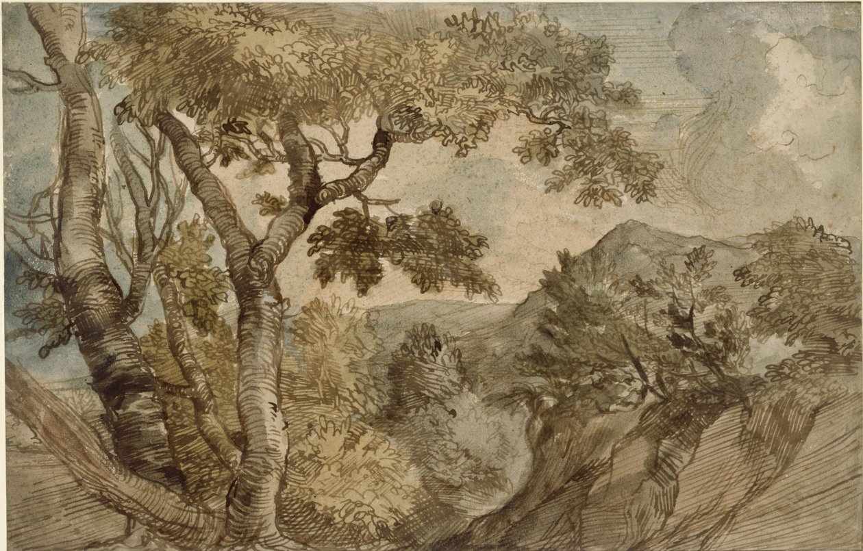 Bergachtig landschap met een groep bomen door Jan Lievens