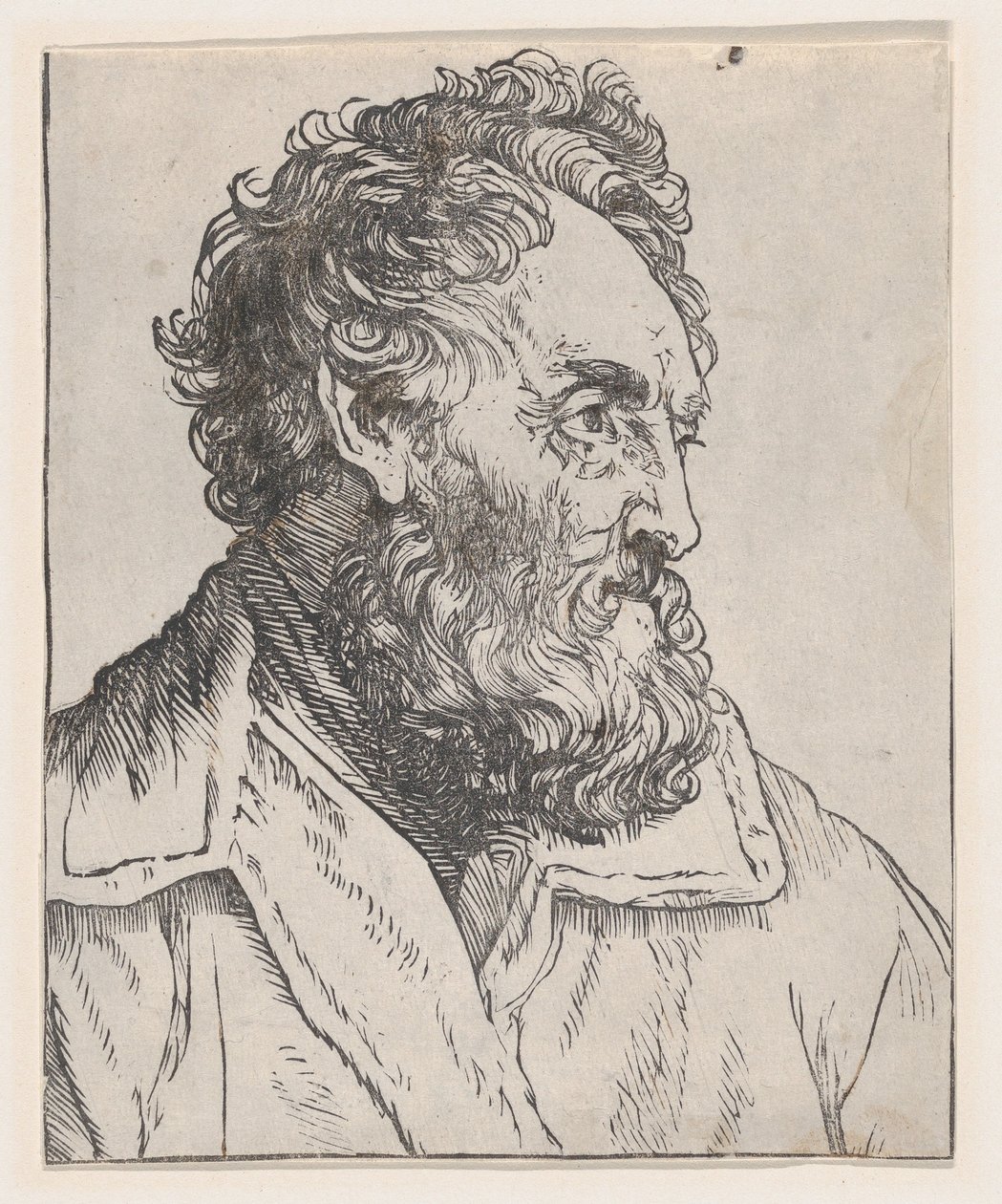 Hoofd van een man door Jan Lievens