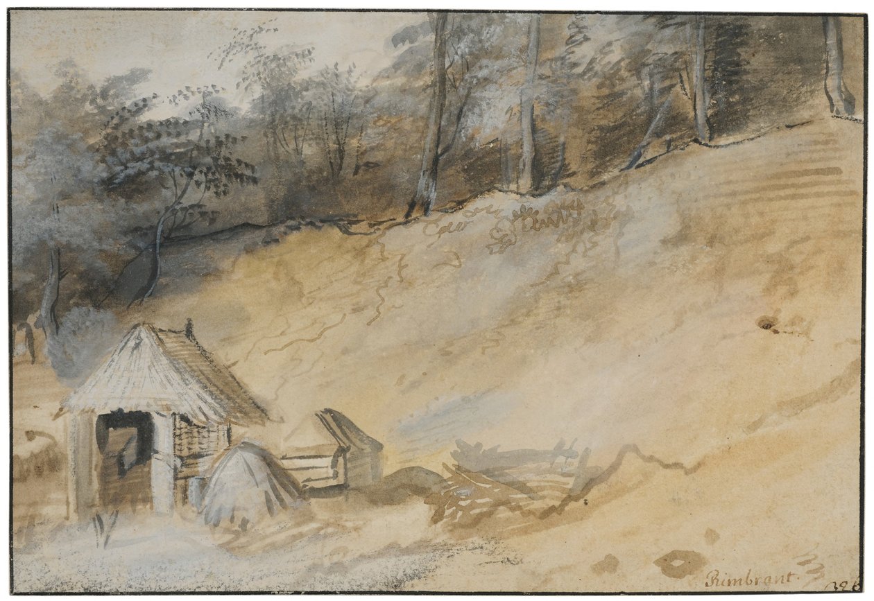 Zanderige helling met een hut door Jan Lievens