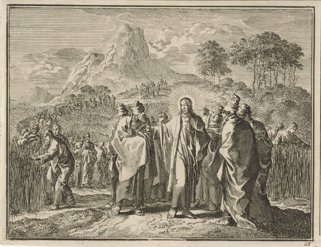 Plukken van koren op de sabbat door Jan Luyken