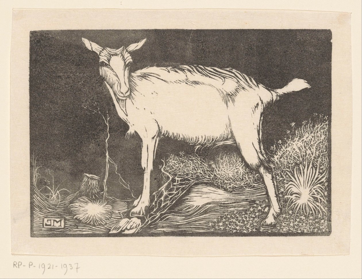 Witte geit door Jan Mankes