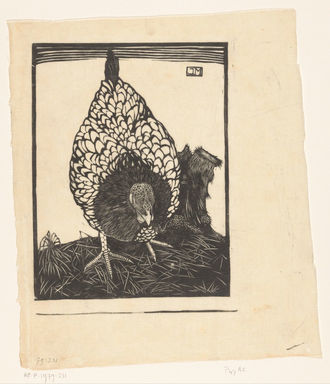 Zilverwyandotte door Jan Mankes