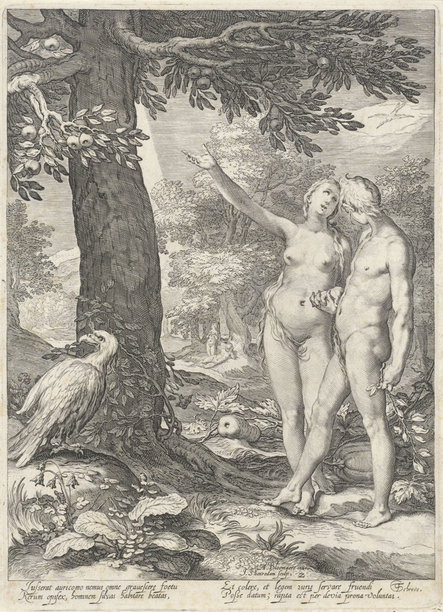 Adam en Eva voor de Boom der Kennis van goed en kwaad door Jan Saenredam