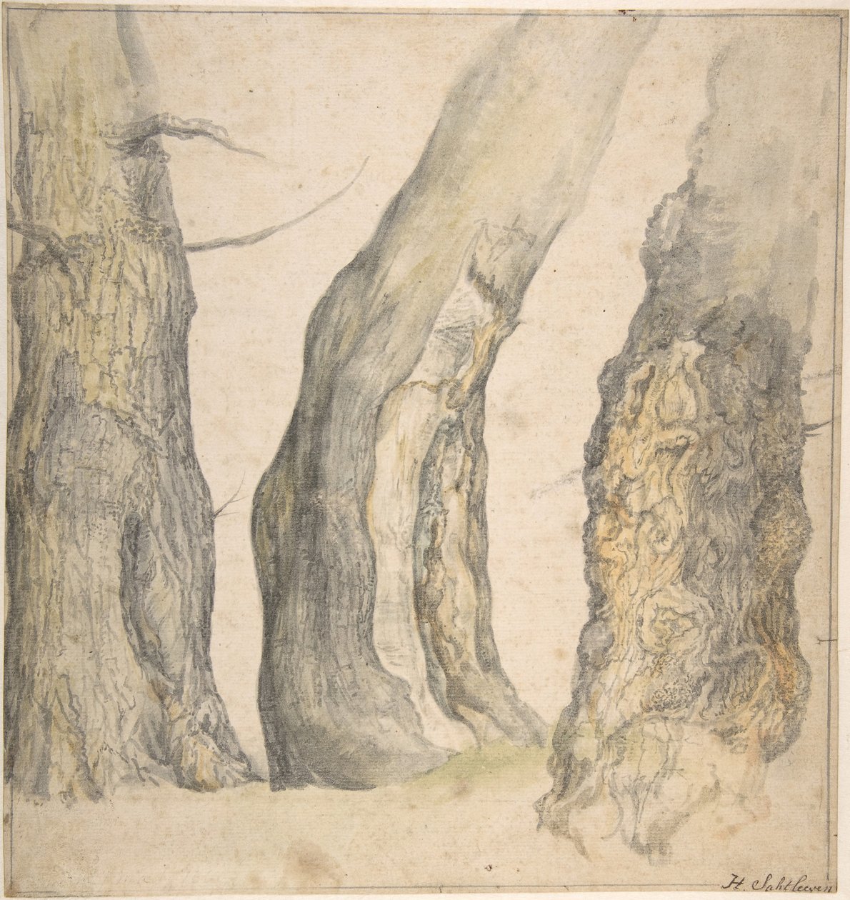 Studie van Drie Oude Kromme Bomen, 1660 door Jan Siberechts