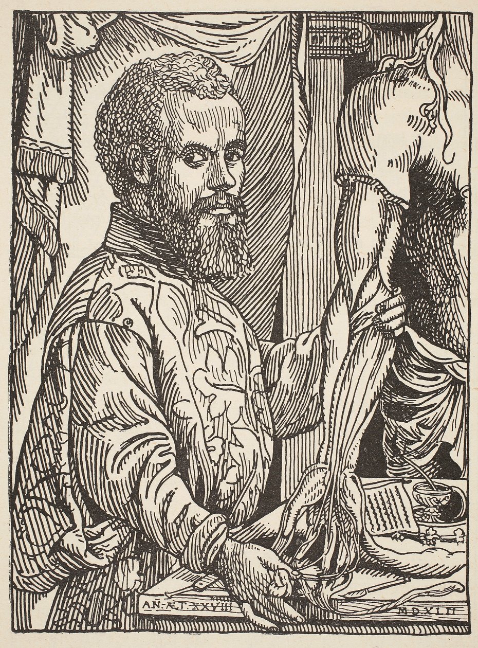 Andre Vesale, kopie door Boris Mestchersky (overleden 1957), illustratie uit Histoire de la Nation Francaise, Sciences, Volumes I en II, door Gabriel Hanotaux (1853-1944), 1924 door Jan Stephen van Calcar