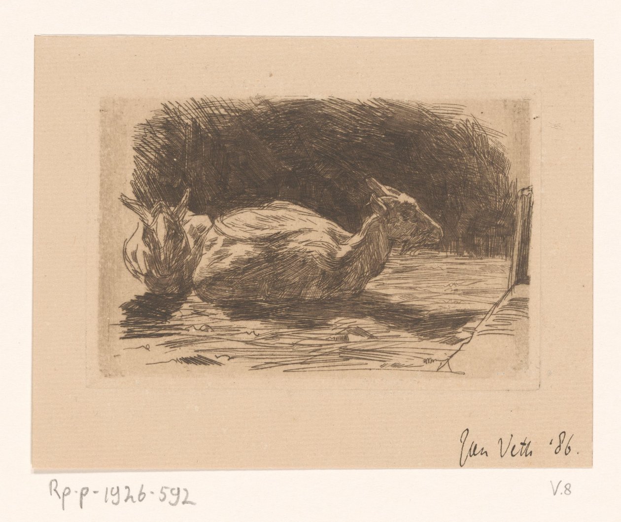 Twee geiten door Jan Veth (signed by artist)