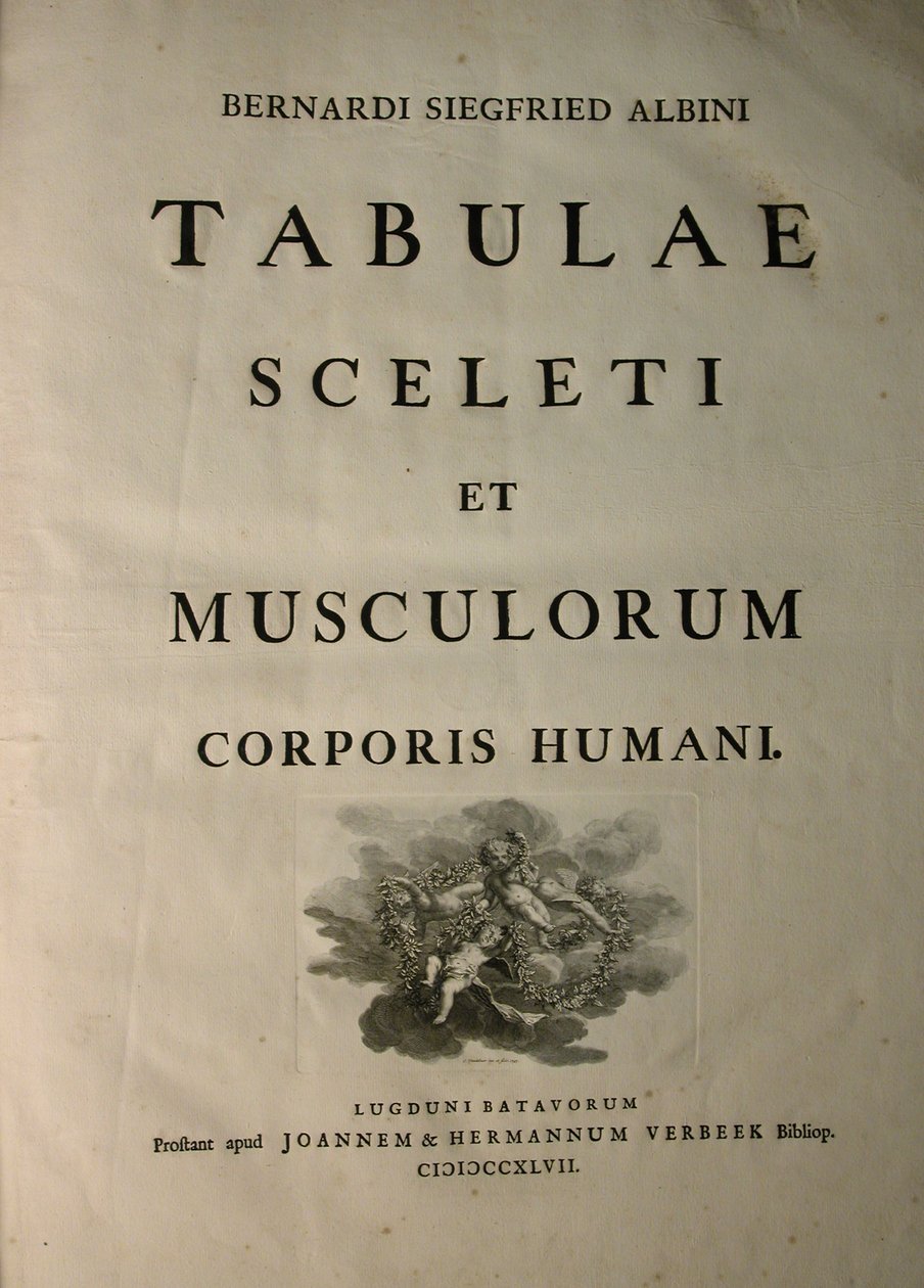 Albinus I, titelpagina, uit 