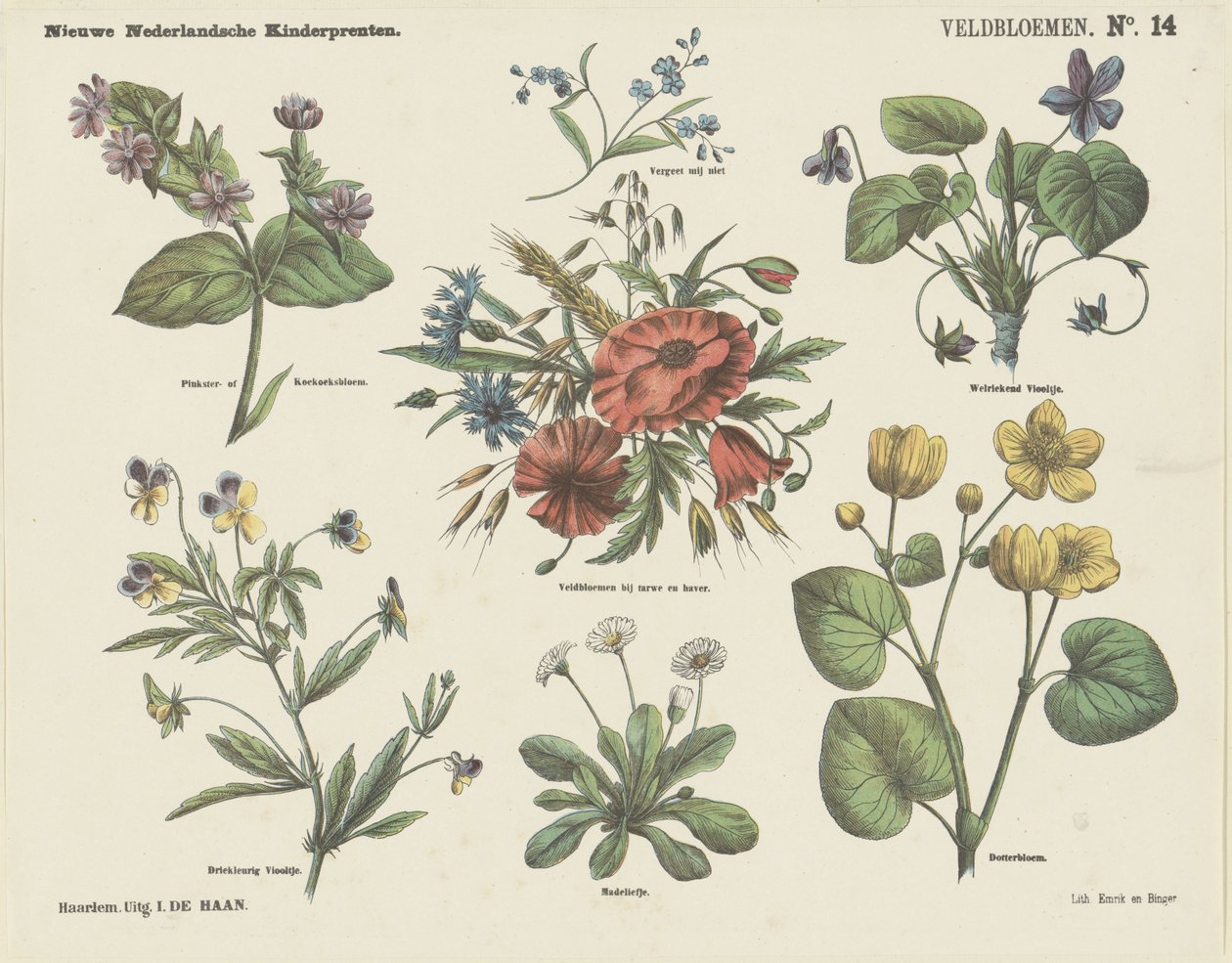 Veldbloemen door Jan de Haan