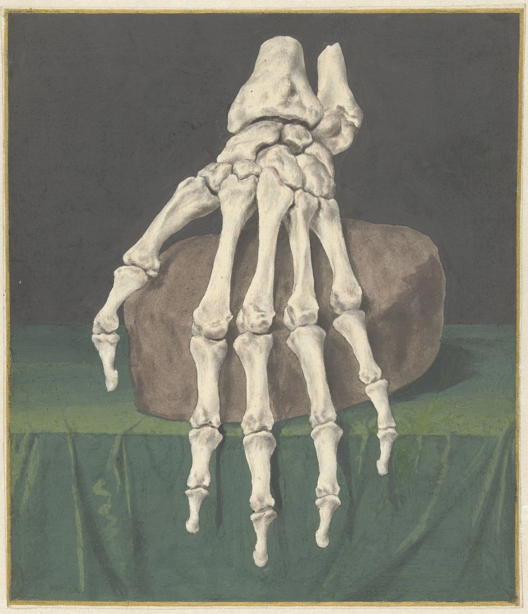 Skelet van een hand door Jan l