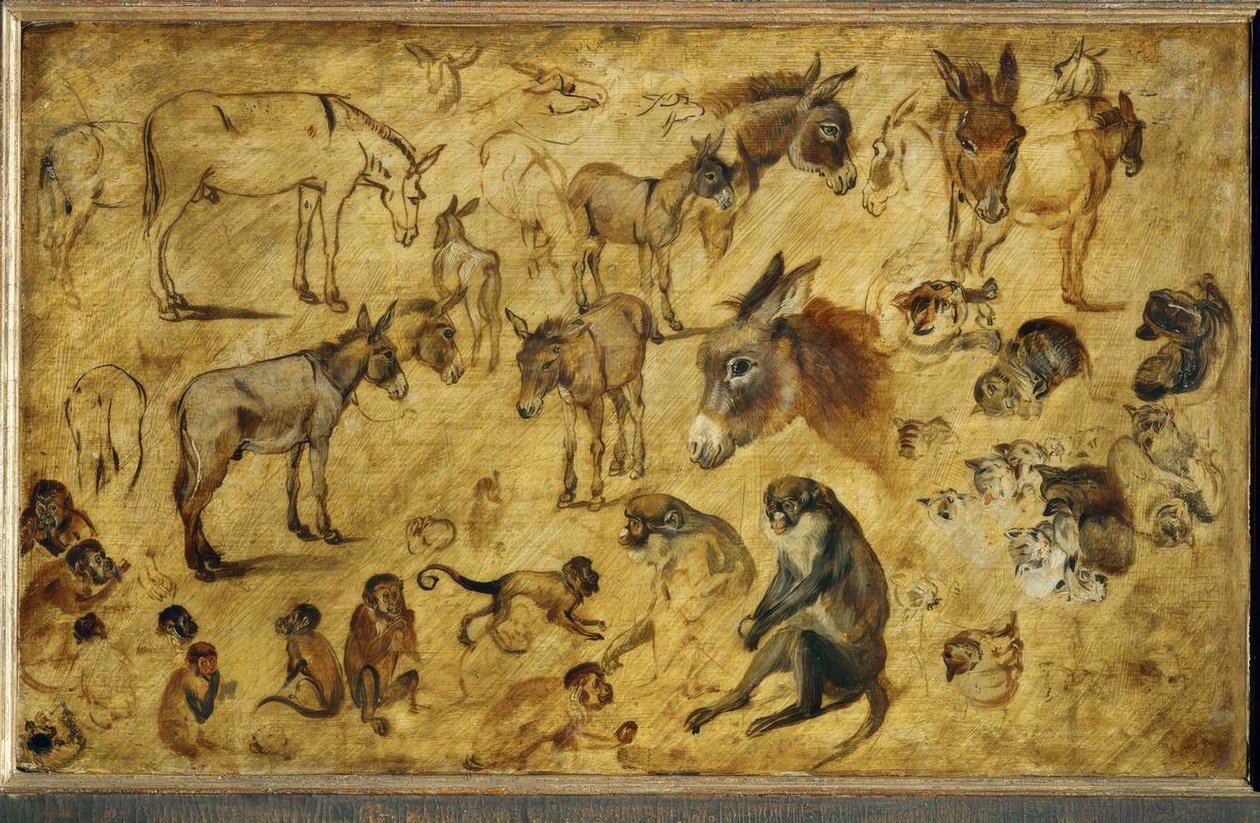 Dierstudies door Jan the Elder Brueghel