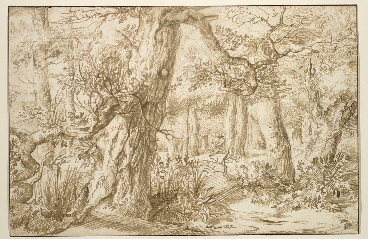 Bosinterieur met tekenaar, c.1664 door Jan the Elder Lievens