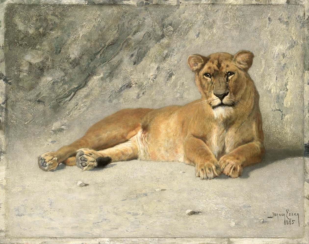  door Jan van Essen