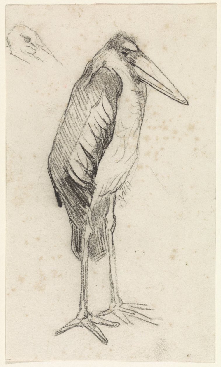 Maraboe door Jan van Essen