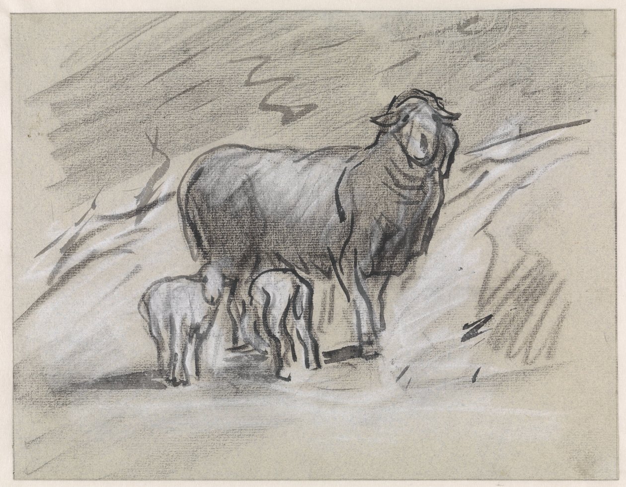 Schaap met twee lammetjes door Jan van Essen
