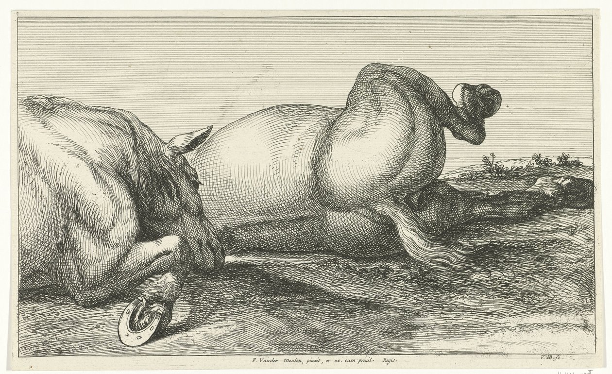 Twee achter elkaar liggende gesneuvelde paarden Gesneuvelde paarden (series title) door Jan van Huchtenburg