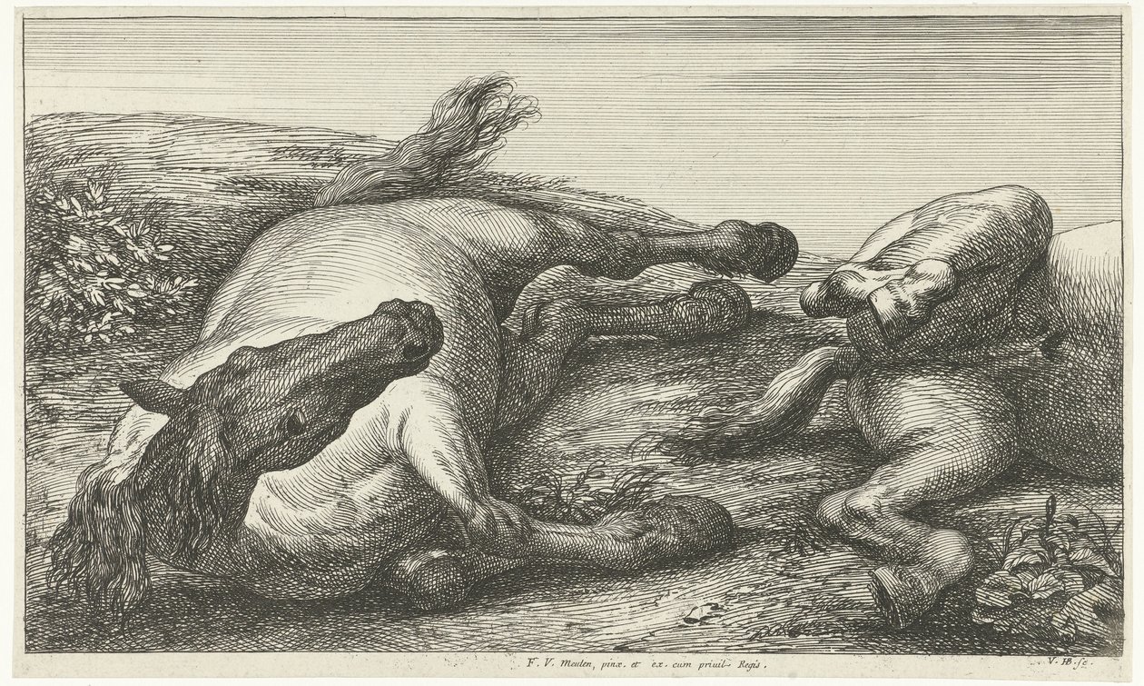 Twee gesneuvelde paarden waarvan de linker van voren gezien door Jan van Huchtenburg