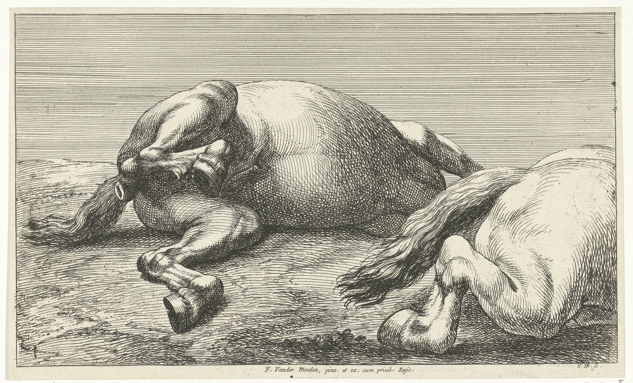 Twee gesneuvelde paarden waarvan de rechter van de zijkant gezien door Jan van Huchtenburg