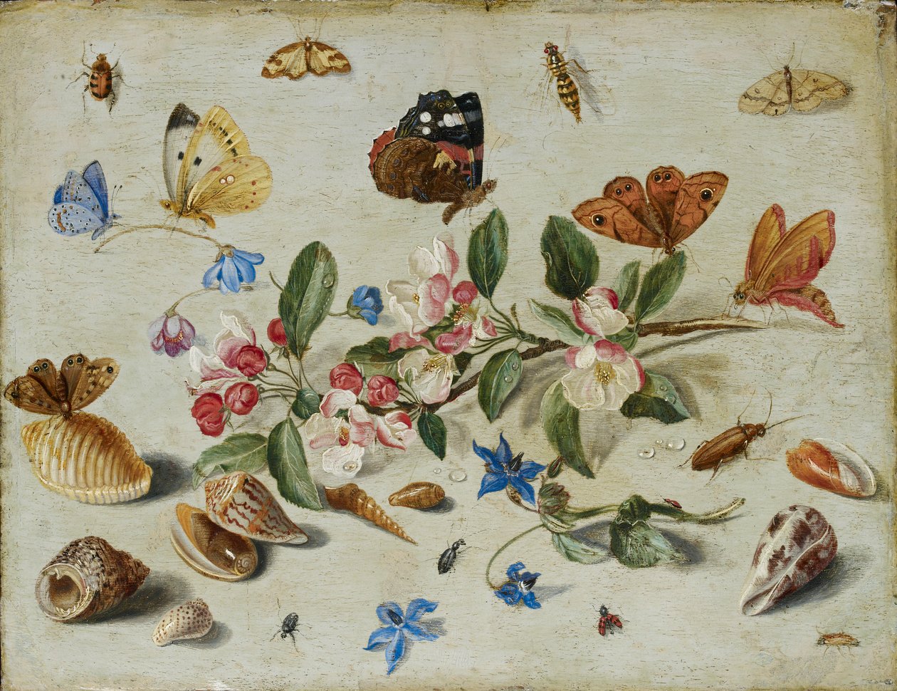 Bloemen en insecten door Jan van Kessel