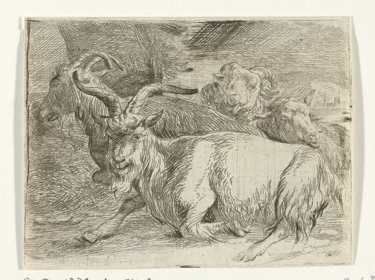 Twee geiten en twee schapen door Jan van Ossenbeeck