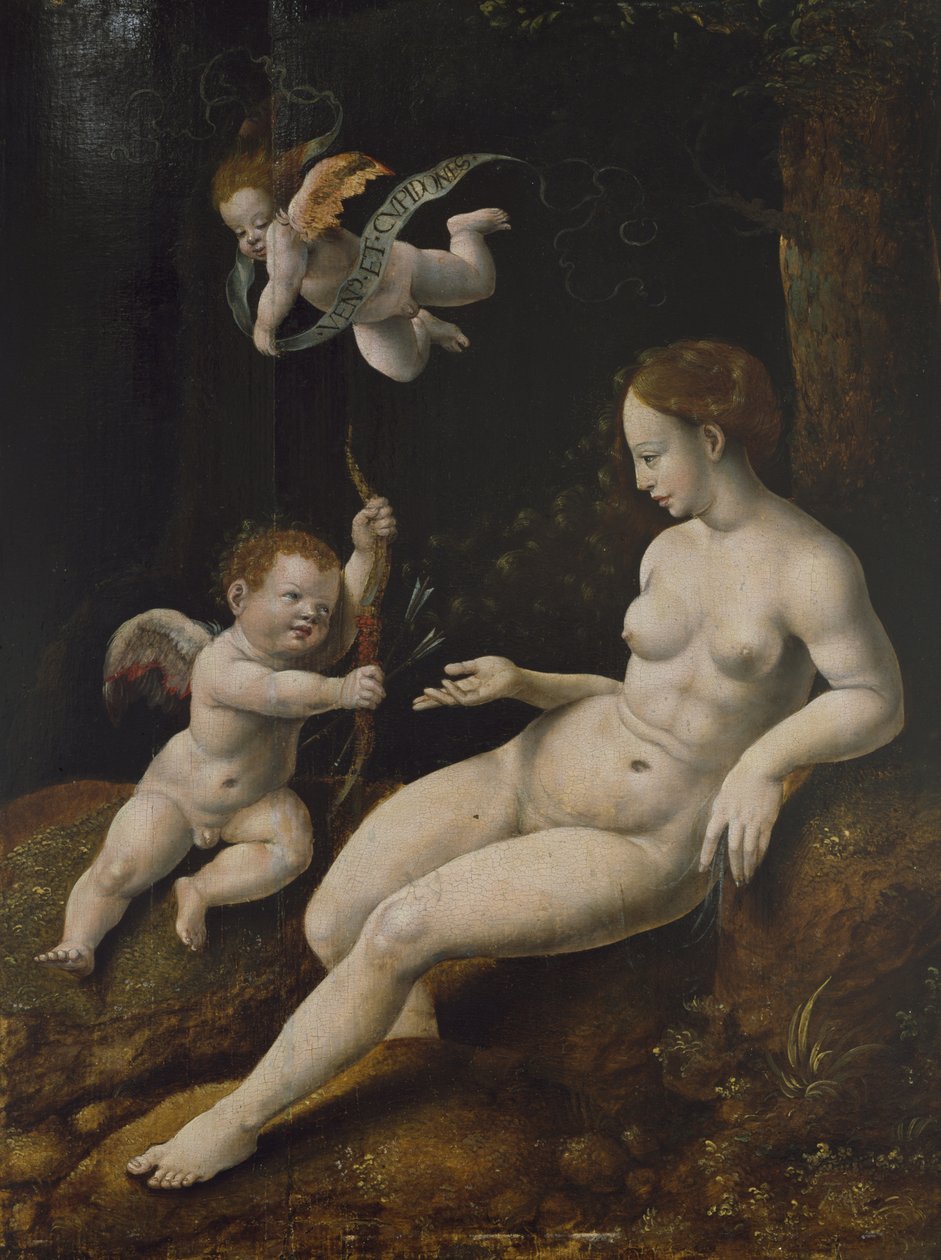 Venus en Twee Cupido
