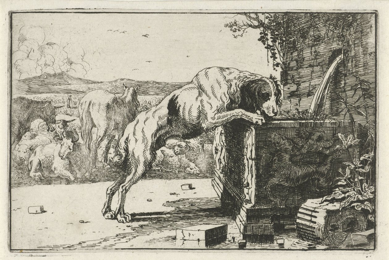 Hond bij een fontein door Jan van den Hecke