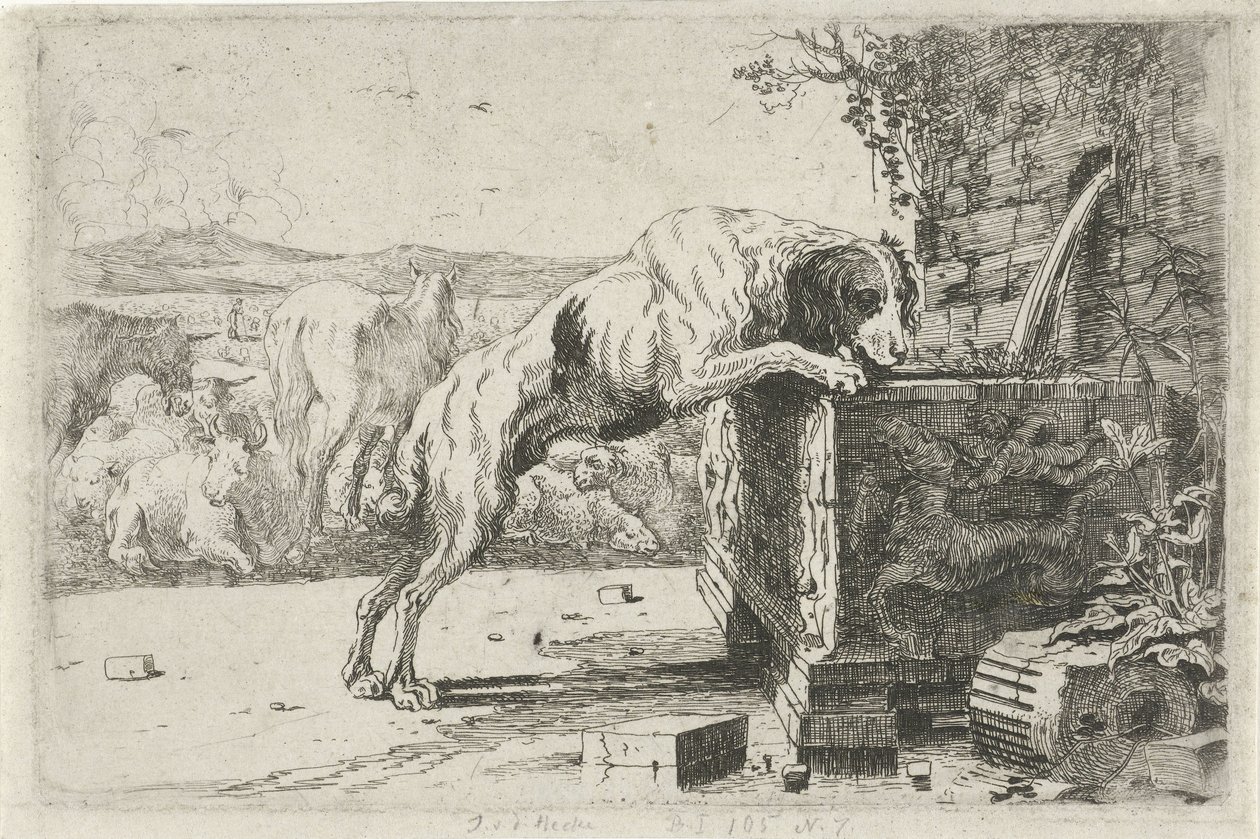 Hond bij een fontein door Jan van den Hecke