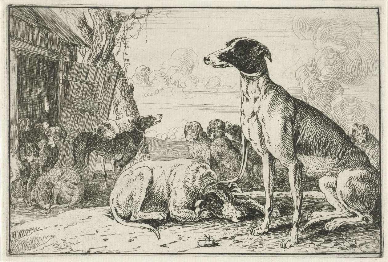 Hondenkennel door Jan van den Hecke