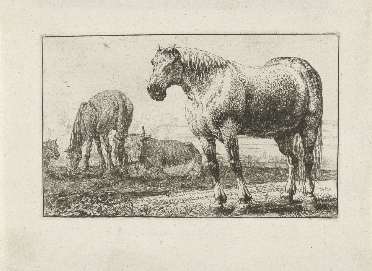 Paarden en koeien door Jan van den Hecke