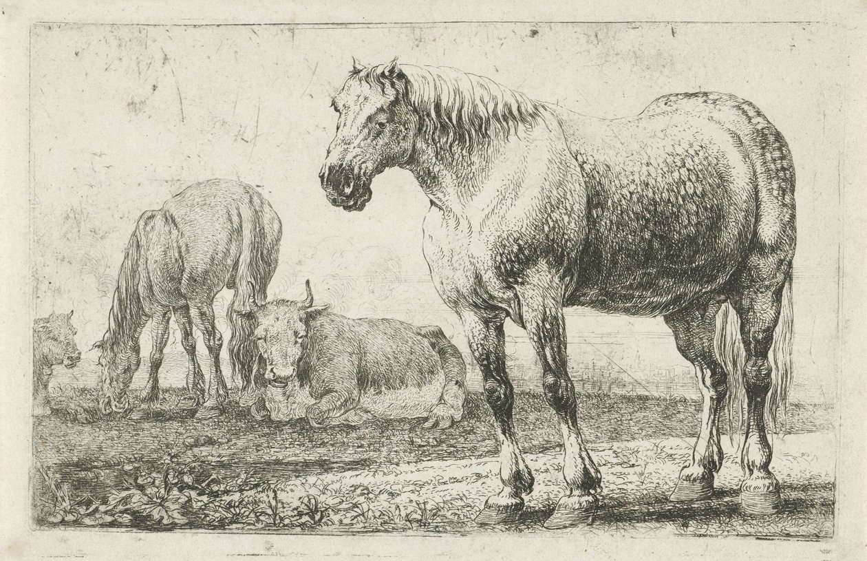 Paarden en koeien door Jan van den Hecke