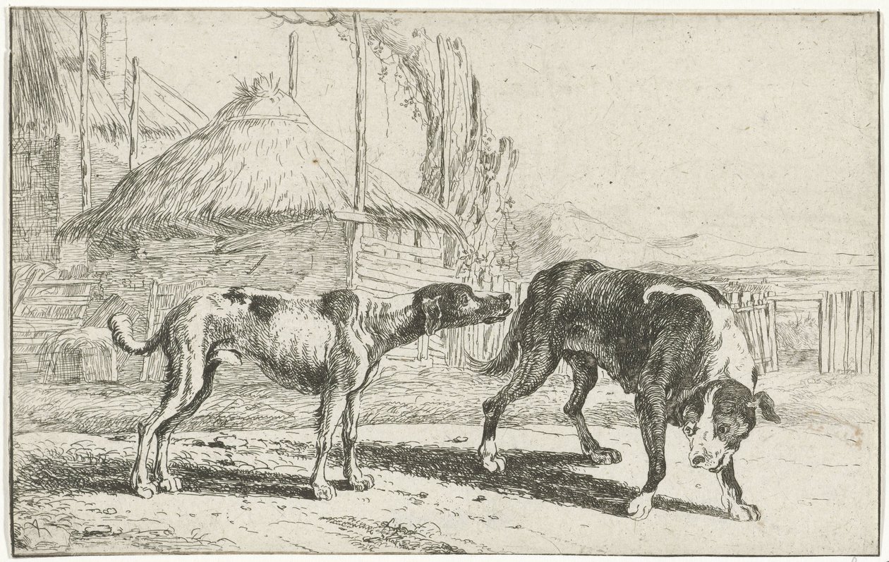 Reu en teef door Jan van den Hecke