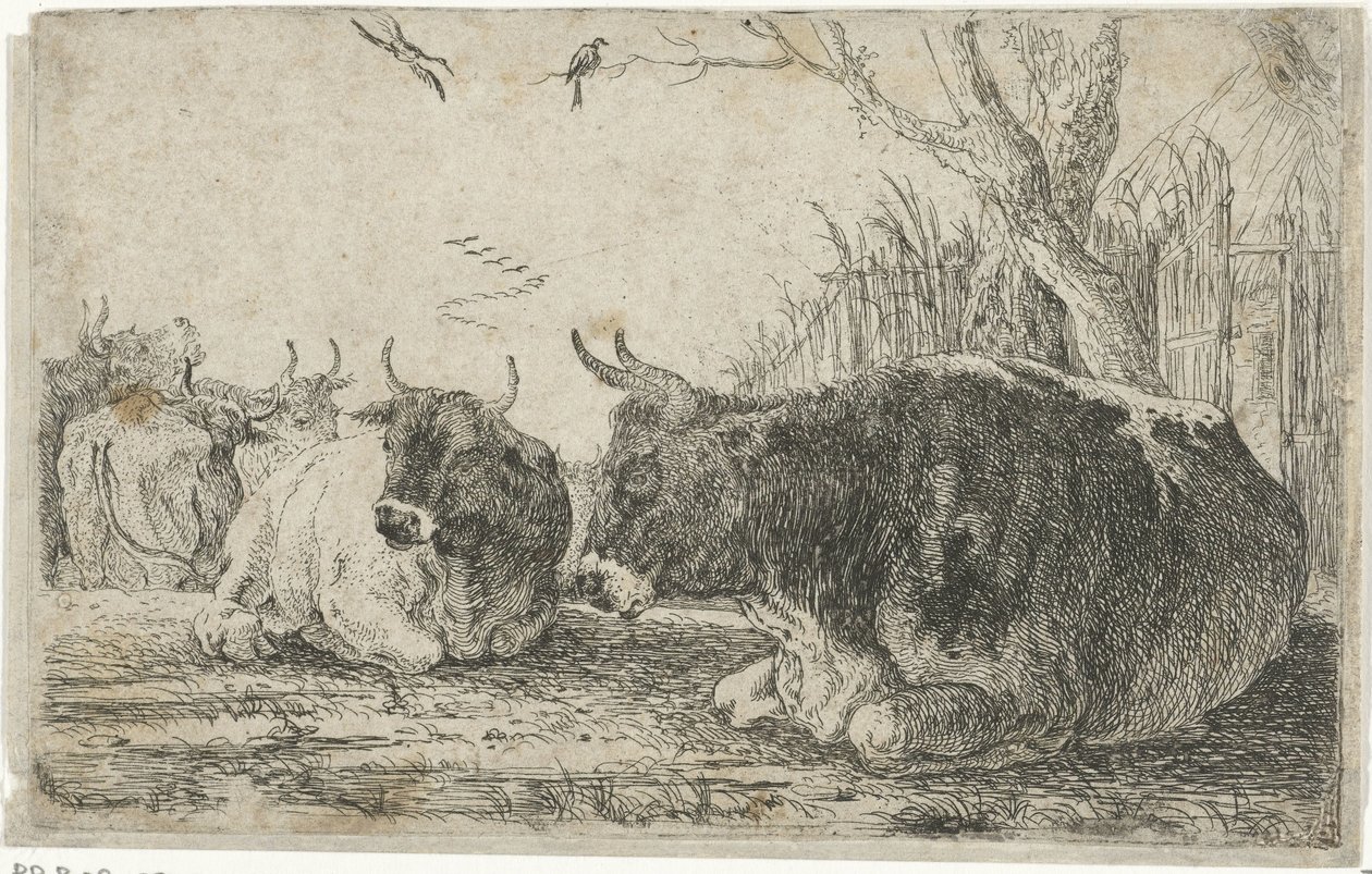 Rustende koeien door Jan van den Hecke