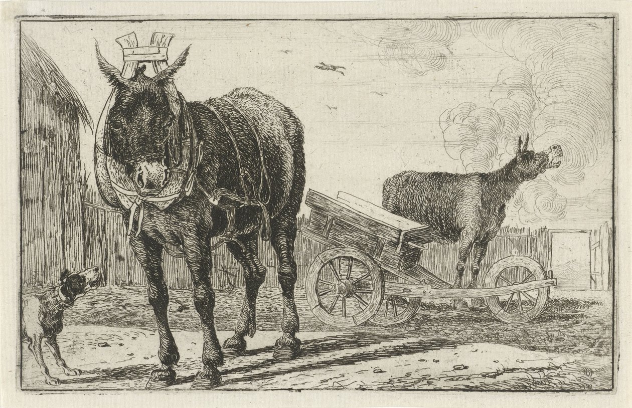 Twee ezels door Jan van den Hecke