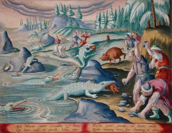 Krokodillen vangen aan de oevers van de Nijl met varkens als aas, plaat 87 uit 