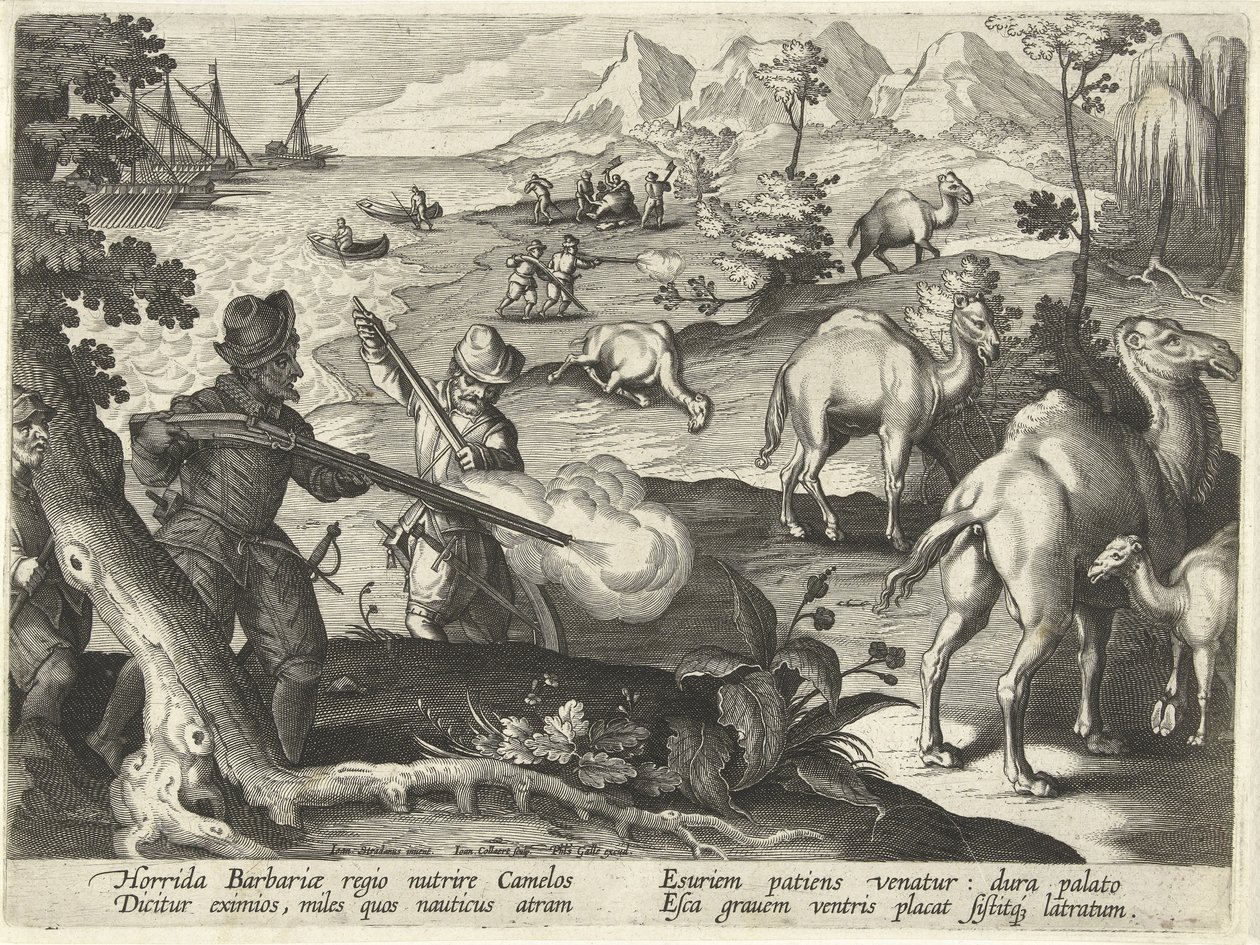 Zeelieden in een verschrikkelijk barbarenland doden kamelen met musketten om hun honger te stillen, illustratie uit 