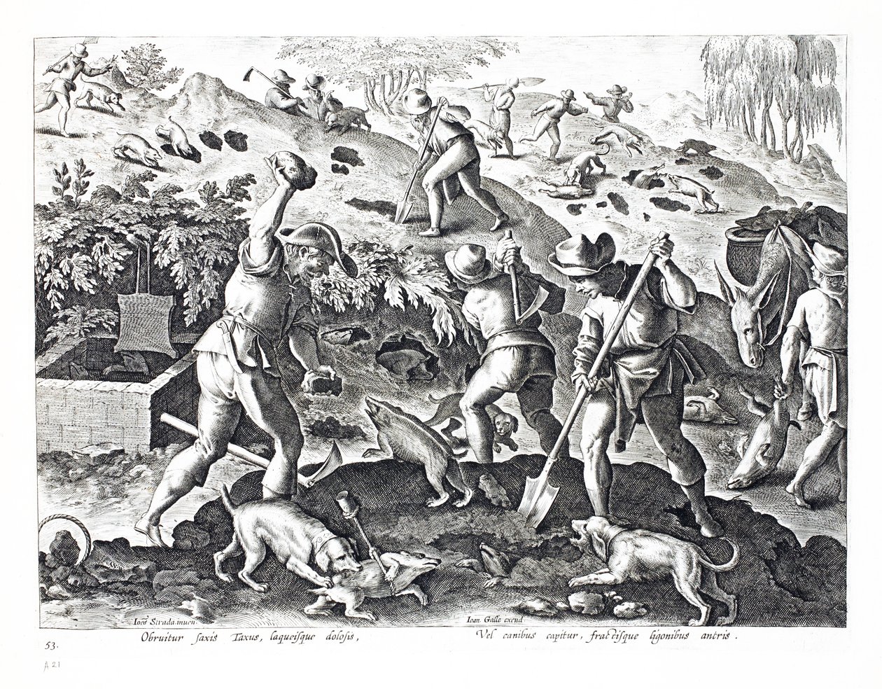 Het uitgraven en vangen van dassen, illustratie uit 