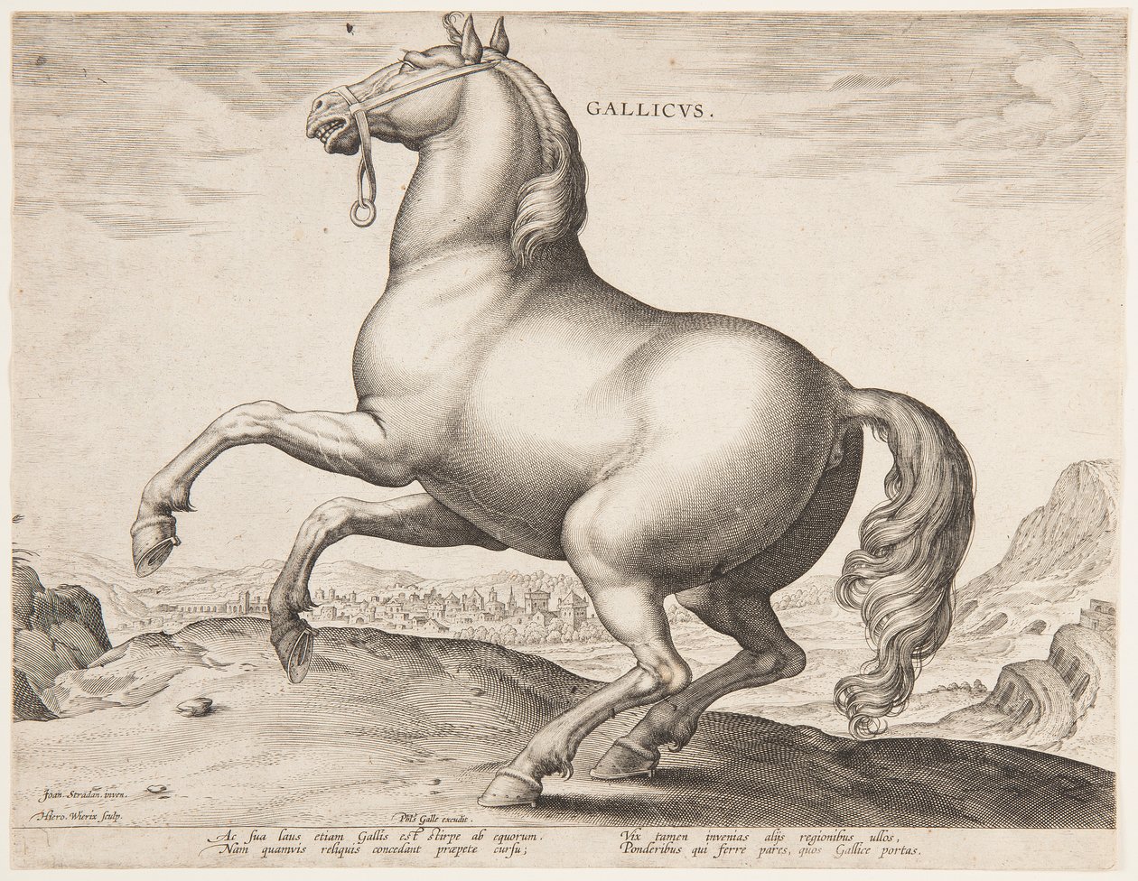 Een Frans Paard, uit de eerste set van "Equile Joannis Austriaci" door Jan van der Straet, called Stradanus