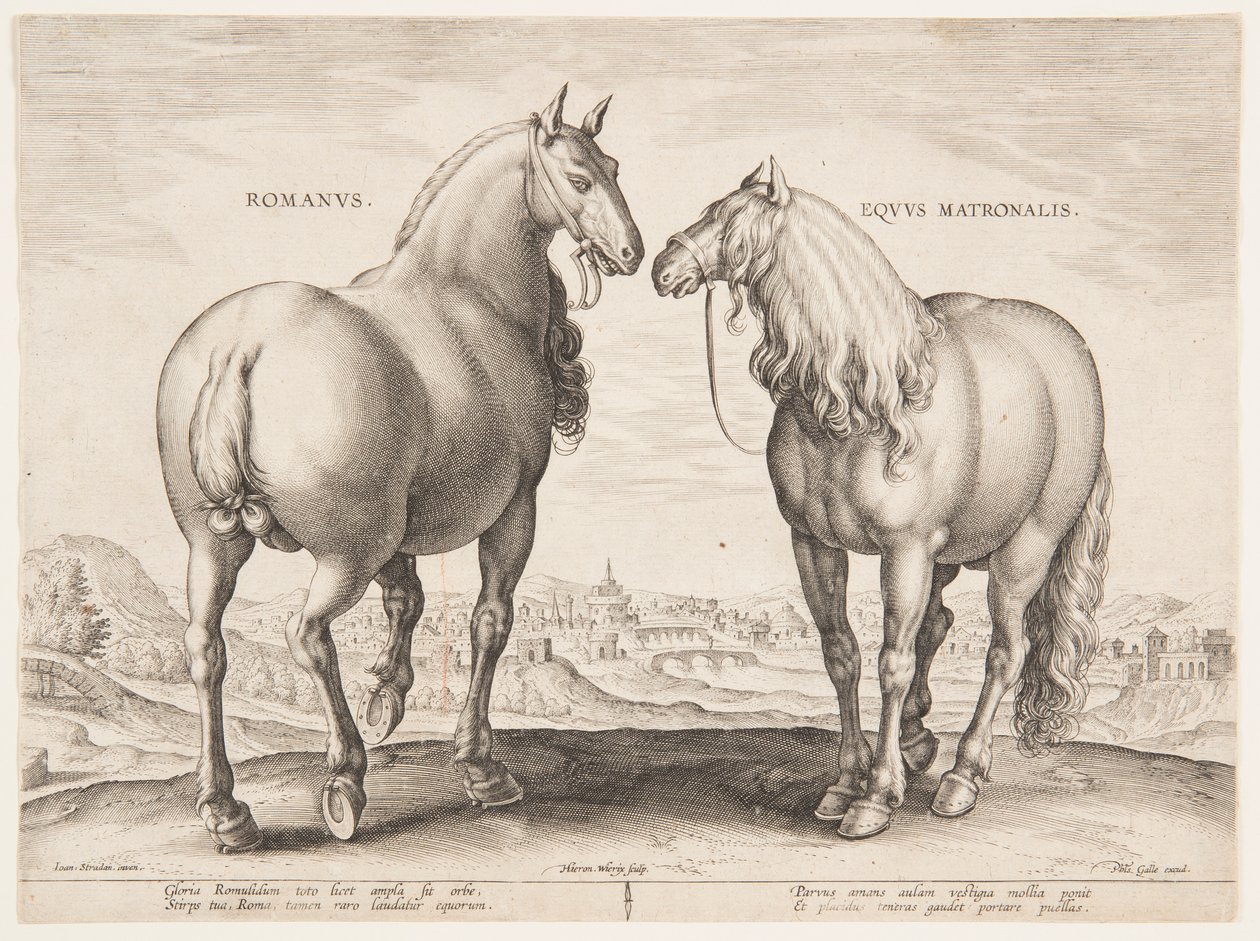 Een Romeins Paard, uit de eerste set van "Equile Joannis Austriaci" door Jan van der Straet, called Stradanus