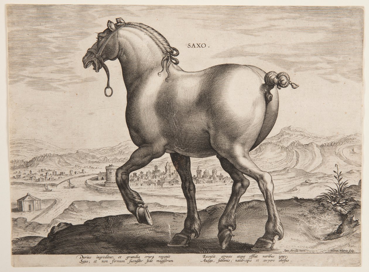 Een Saksisch paard, uit de eerste set van 