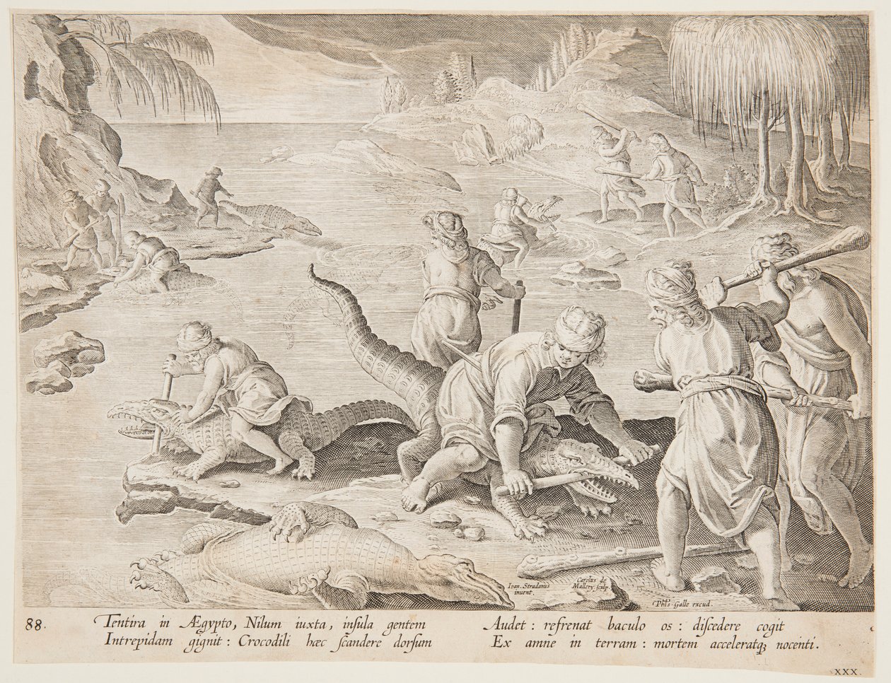 Krokodillenjacht in Tentyra, in Egypte, plaat 30 uit de Venationes Ferarum, Avium, Piscium serie door Jan van der Straet, called Stradanus