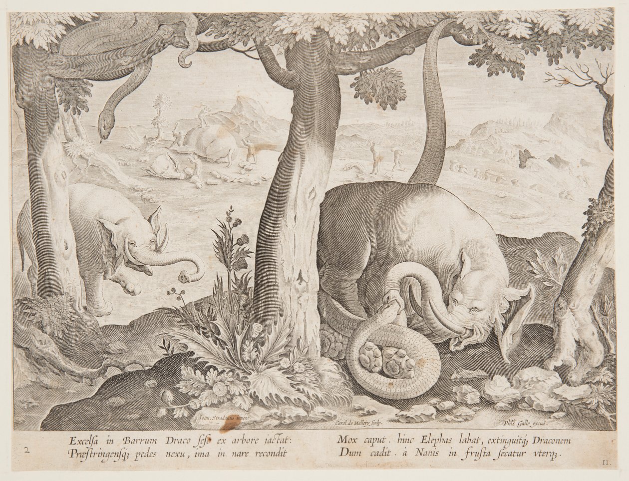 Gevecht tussen Olifanten en Slangen, plaat 2 uit de Venationes Ferarum, Avium, Piscium serie door Jan van der Straet, called Stradanus