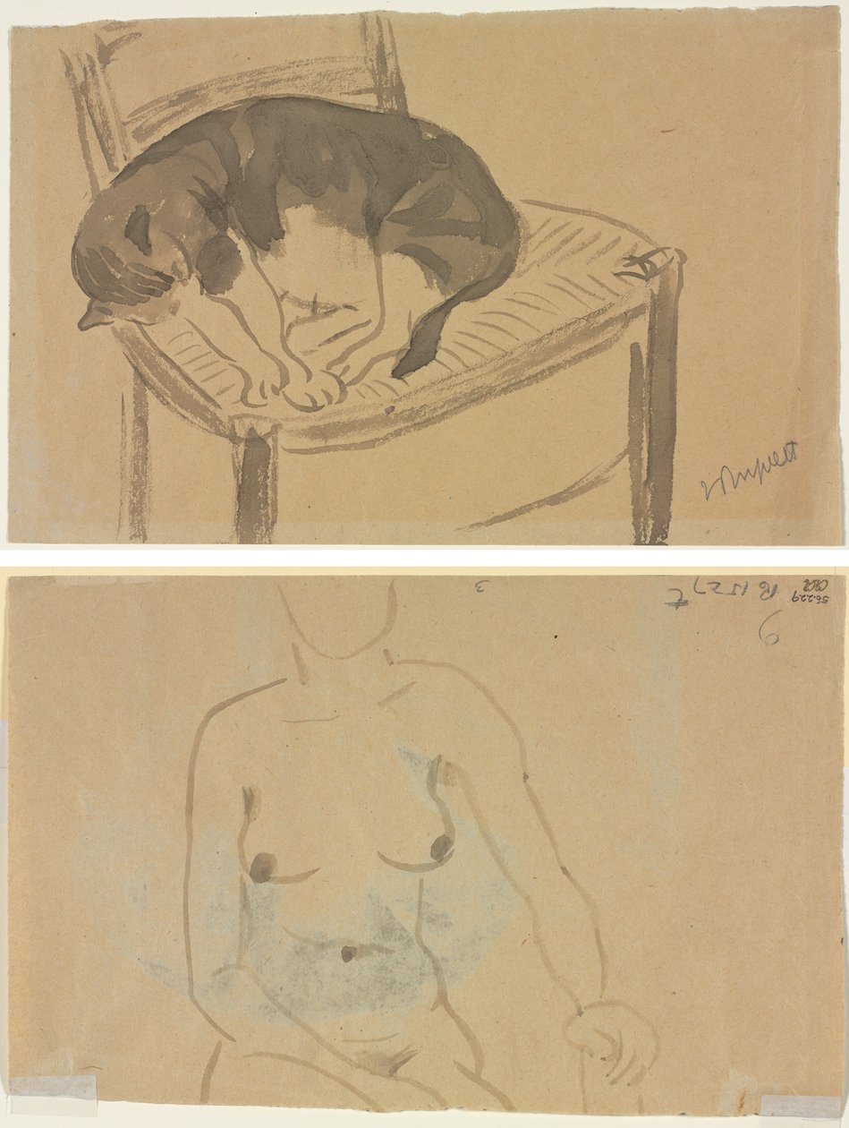 Slapende kat (recto) Torso van een naakte vrouw (verso) door Jane Poupelet