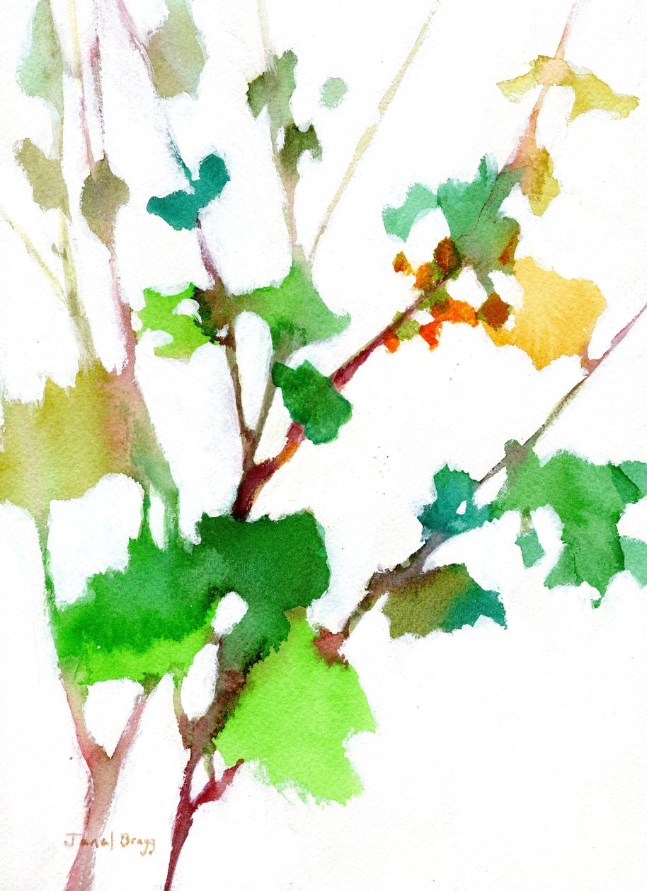  door Janel Bragg