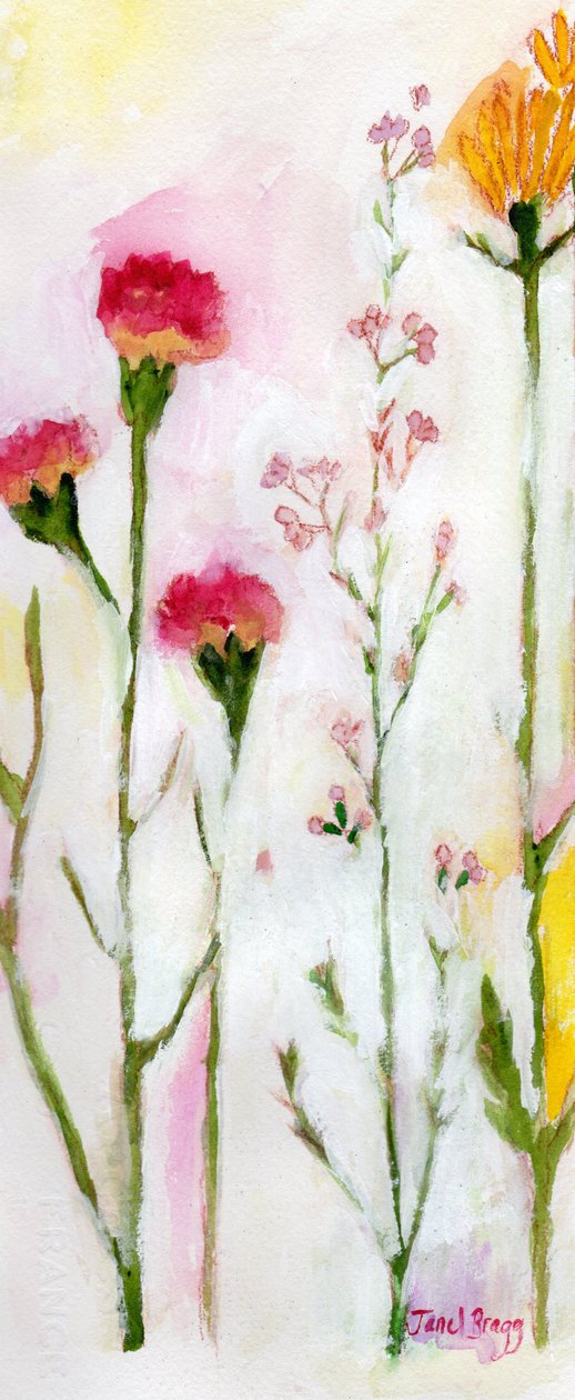 Bloemen van Sheeley