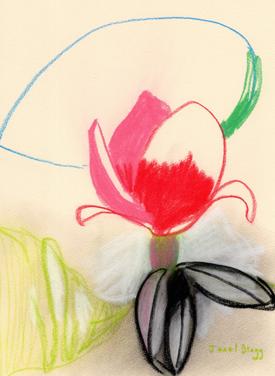 Magnolia in Kleur door Janel Bragg