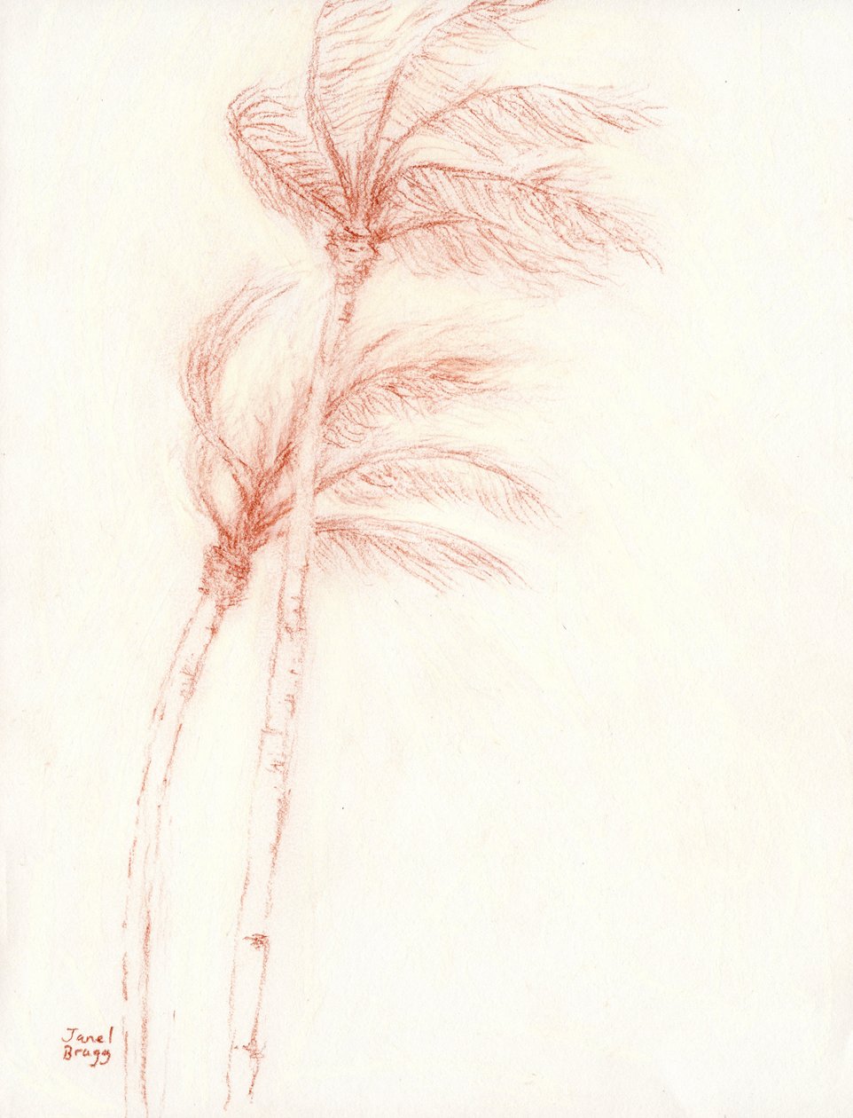 Er was eens een tropische vakantie Palm Trees, ca. 2019 door Janel Bragg