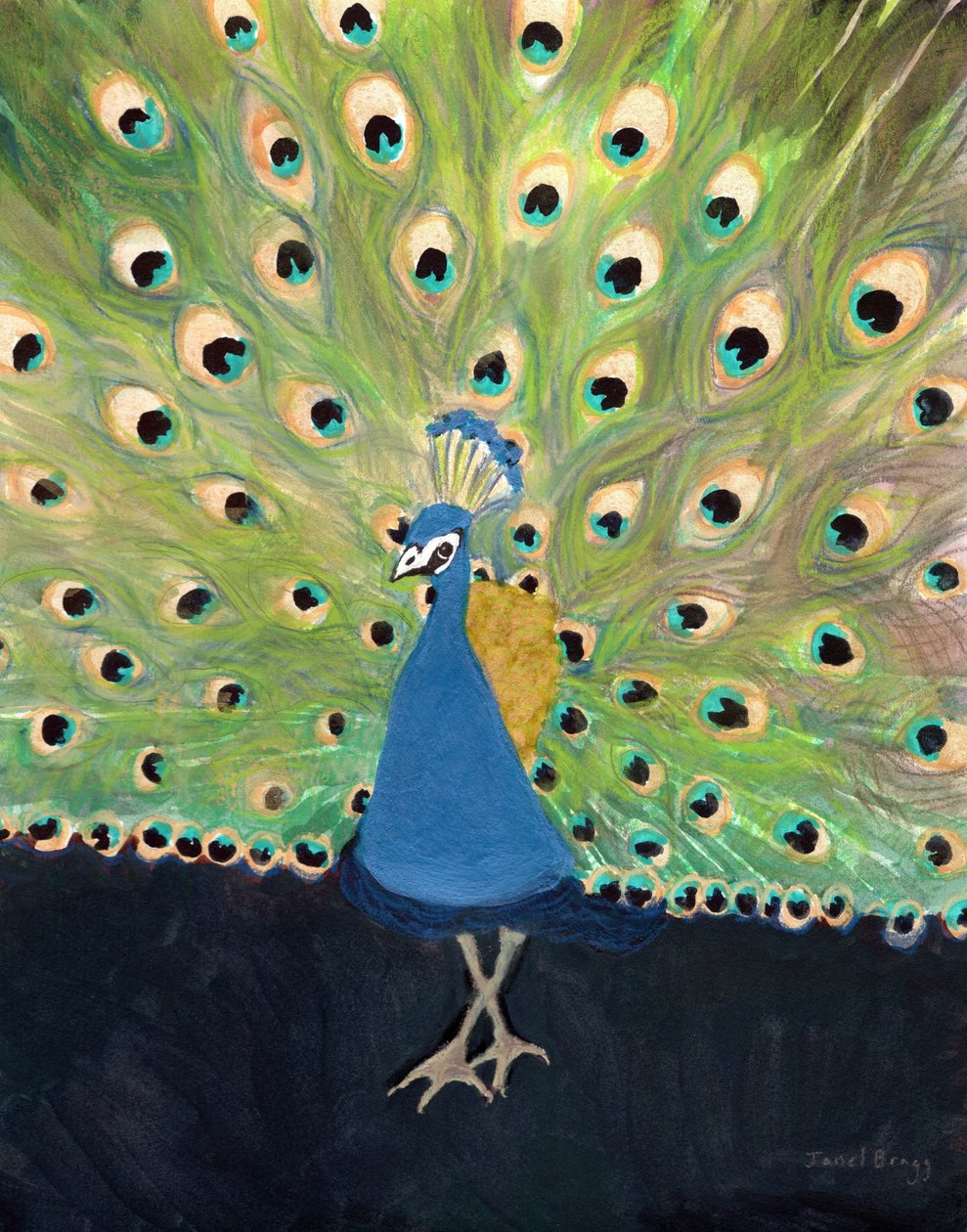 Pauw in Woodland Park Zoo, ca. 2024 (gemengde techniek op papier) door Janel Bragg