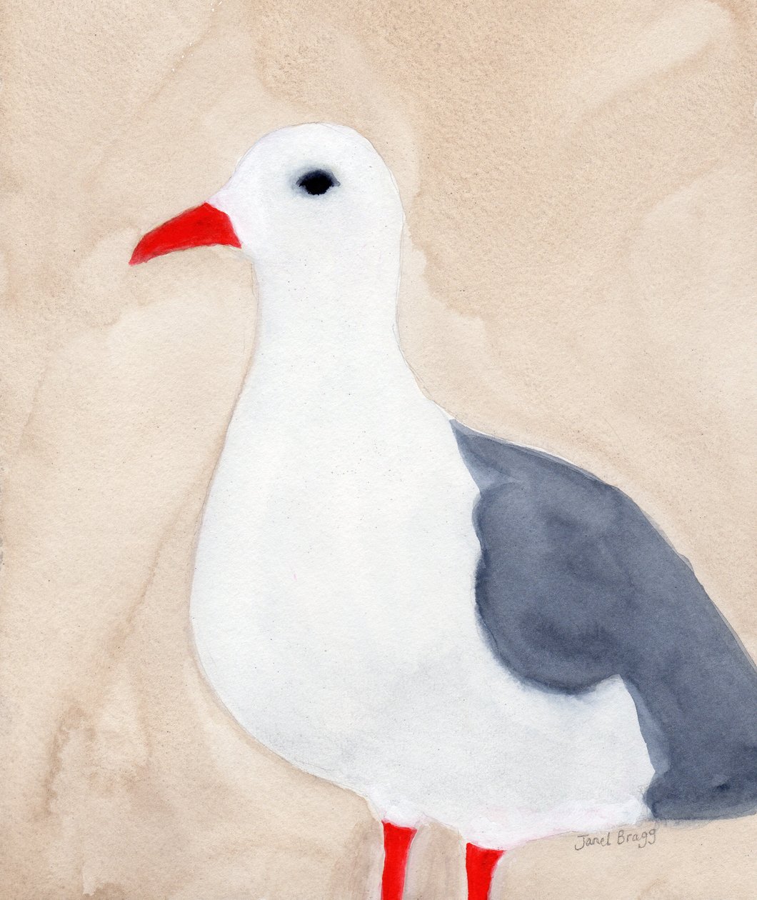 Meeuw uit Anacortes II, ca. 2018 door Janel Bragg