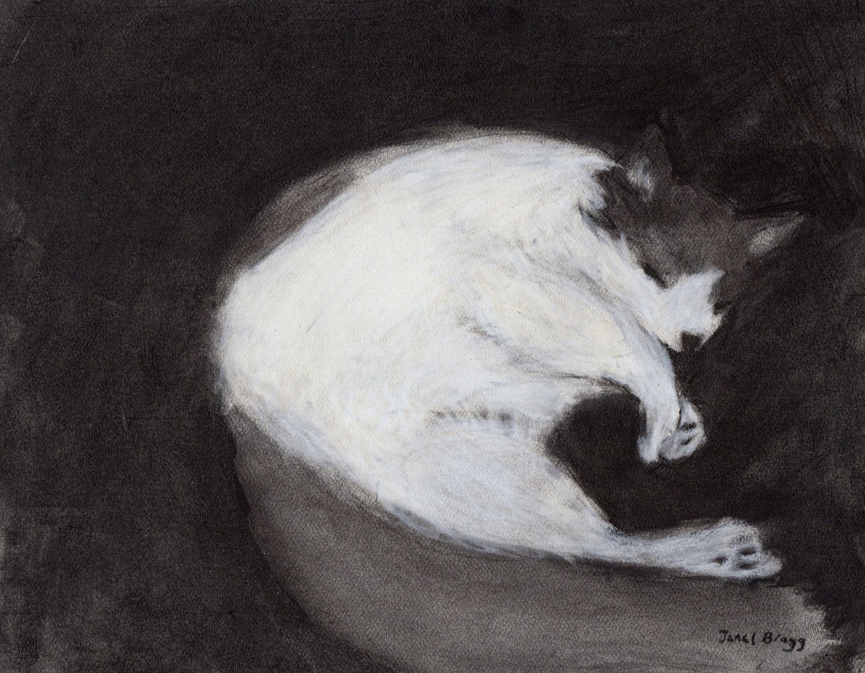 Thomas doet een dutje, c. 2018 (houtskool en pastel op papier) door Janel Bragg