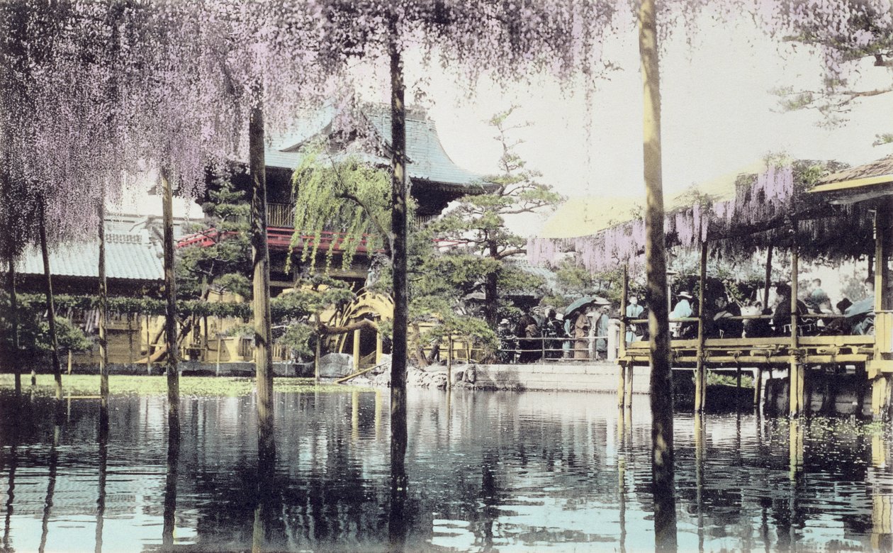 Wisteria bloesem over de vijver in de Kameido Temple Gardens, Tokio, eind 19e eeuw door Japanese Photographer