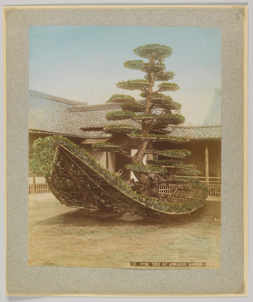 Pijnboom in Kinkakuji-tuin, Kyoto, Japan door Japanese Photographer